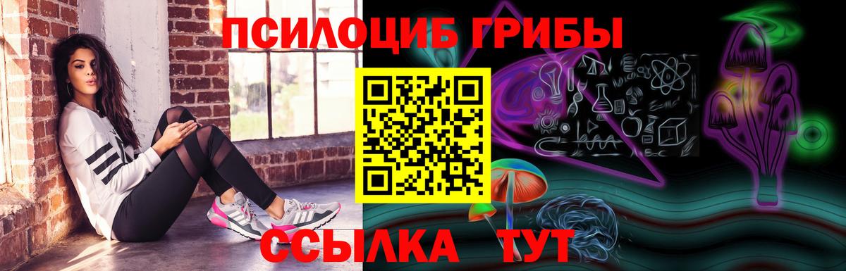 Великие Луки  Галлюциногенные грибы Psilocybine cubensis  Вход с VPN 